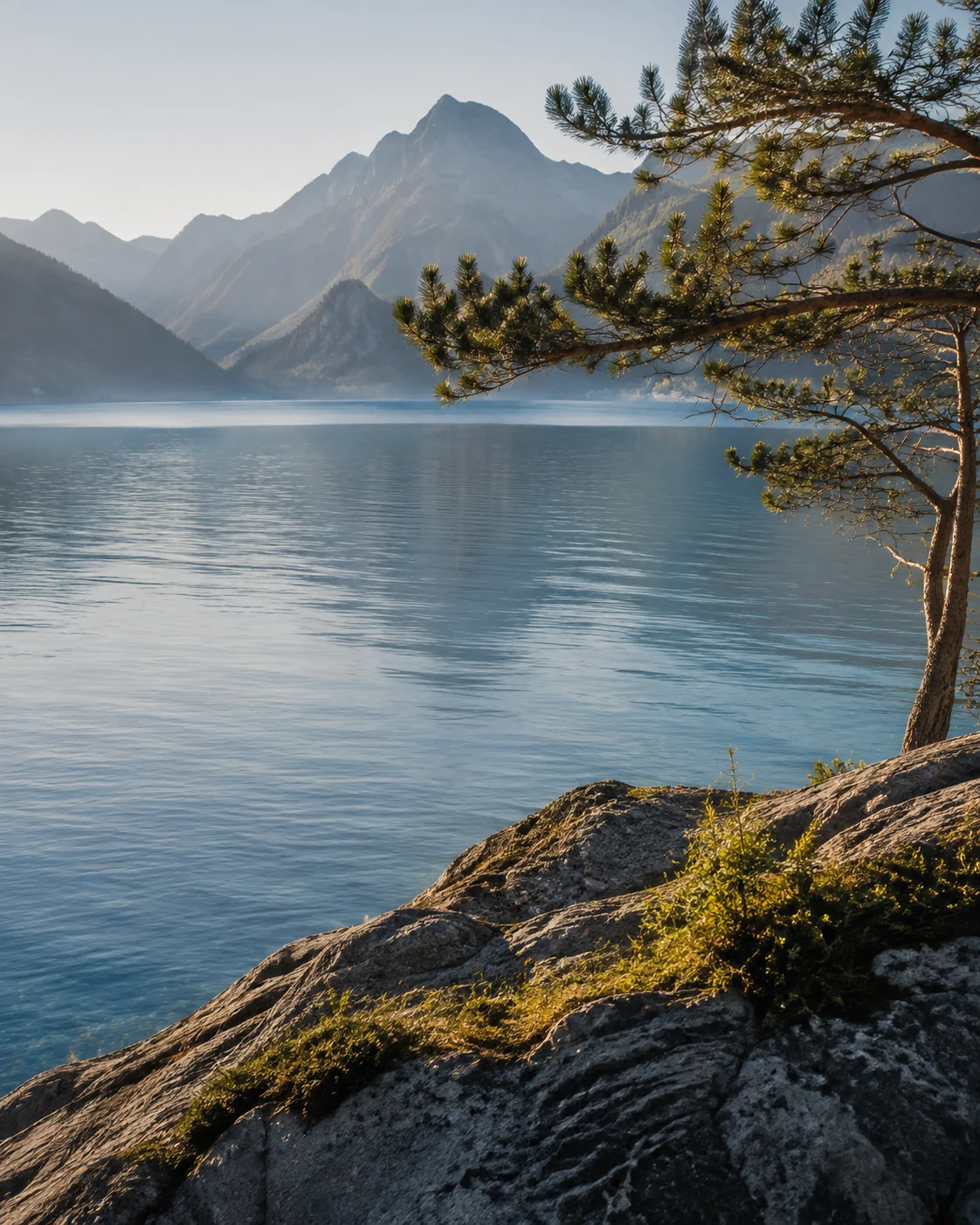 Pine branches overlooking a still mountain lake